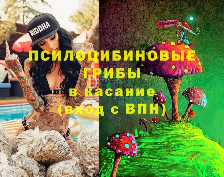 Галлюциногенные грибы Magic Shrooms  сколько стоит  Белово 